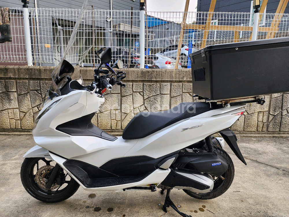 23년식 혼다 PCX 125 ABS 화이트 판매--1