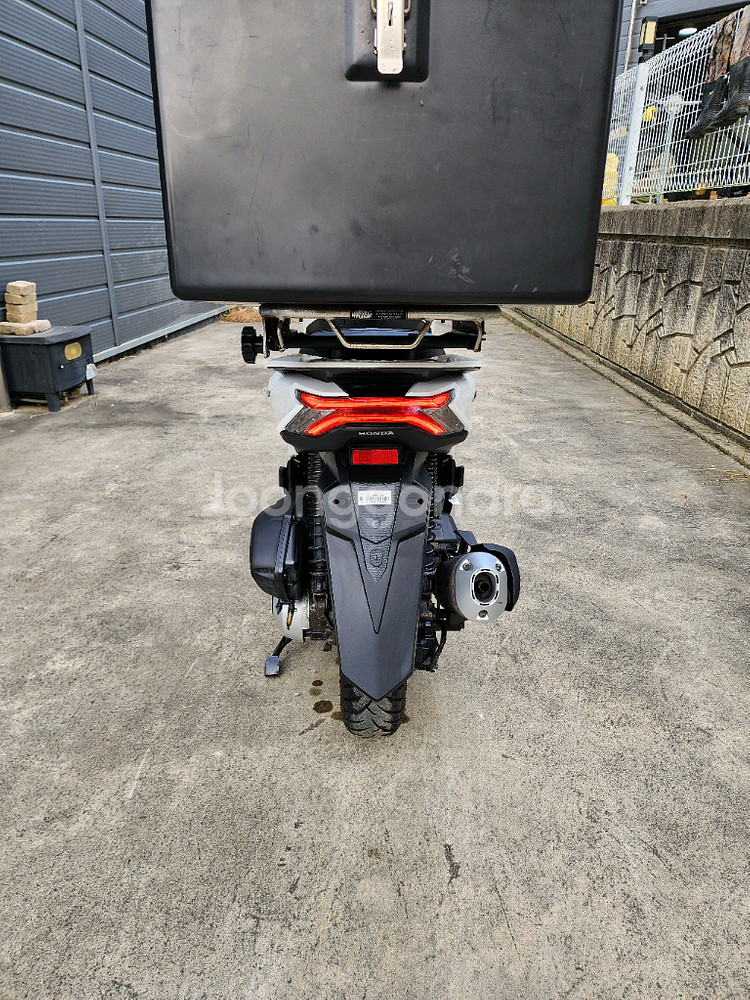 23년식 혼다 PCX 125 ABS 화이트 판매--3