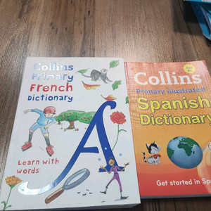 프랑스 스페인어 사전 세트