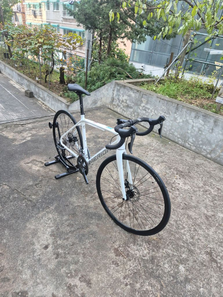 메리다 스컬트라 100 화이트 24년식--1