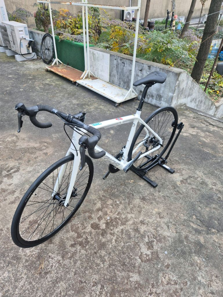 메리다 스컬트라 100 화이트 24년식--2