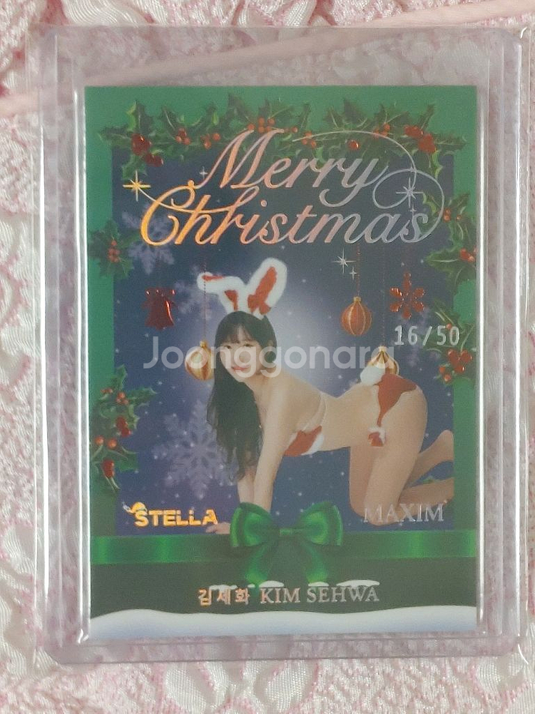 맥심 모델 스테라 카드 한정 및 오토--8