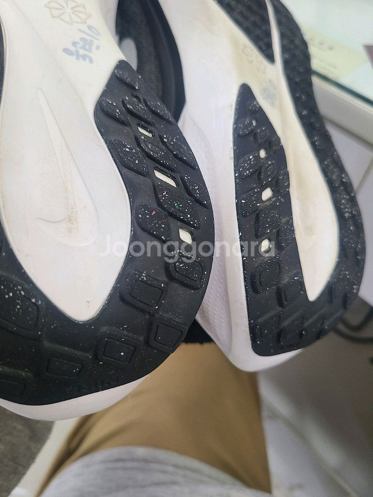 나이키 런닝화 에어줌 페가수스41 245 우먼스--7