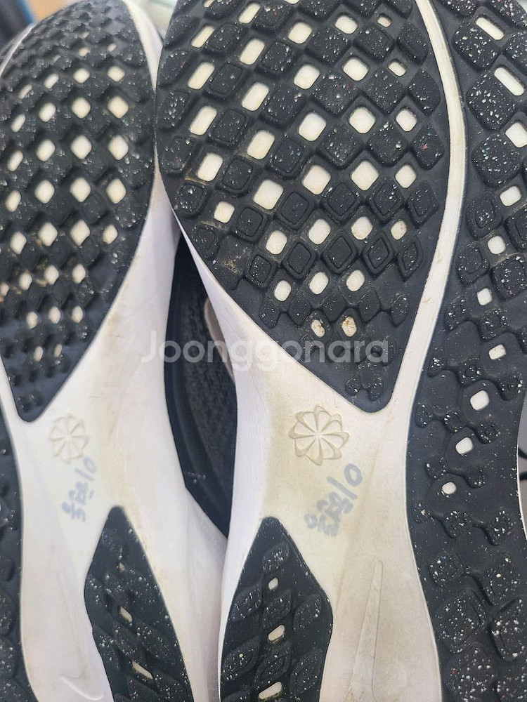 나이키 런닝화 에어줌 페가수스41 245 우먼스--8