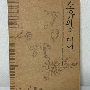 소유와의 이별 - 하이데마리 슈베르머