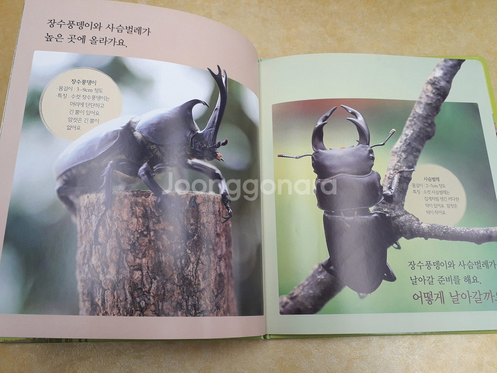 프뢰벨 생생다큐 자연관찰--3