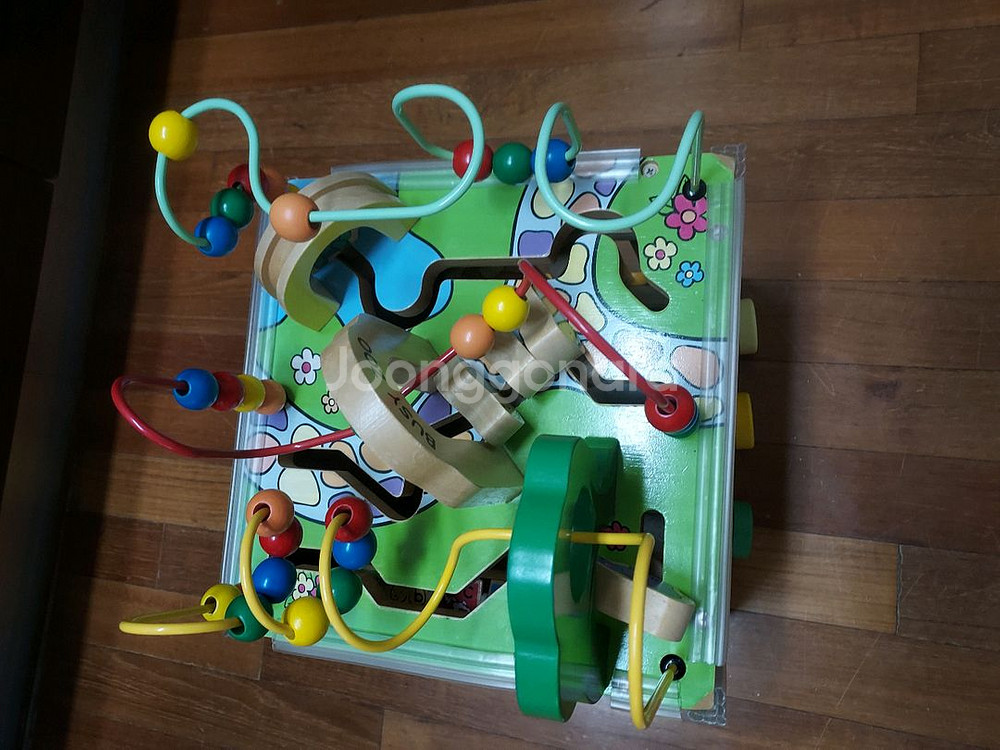 비지쥬 롤러코스터 원목교구--3