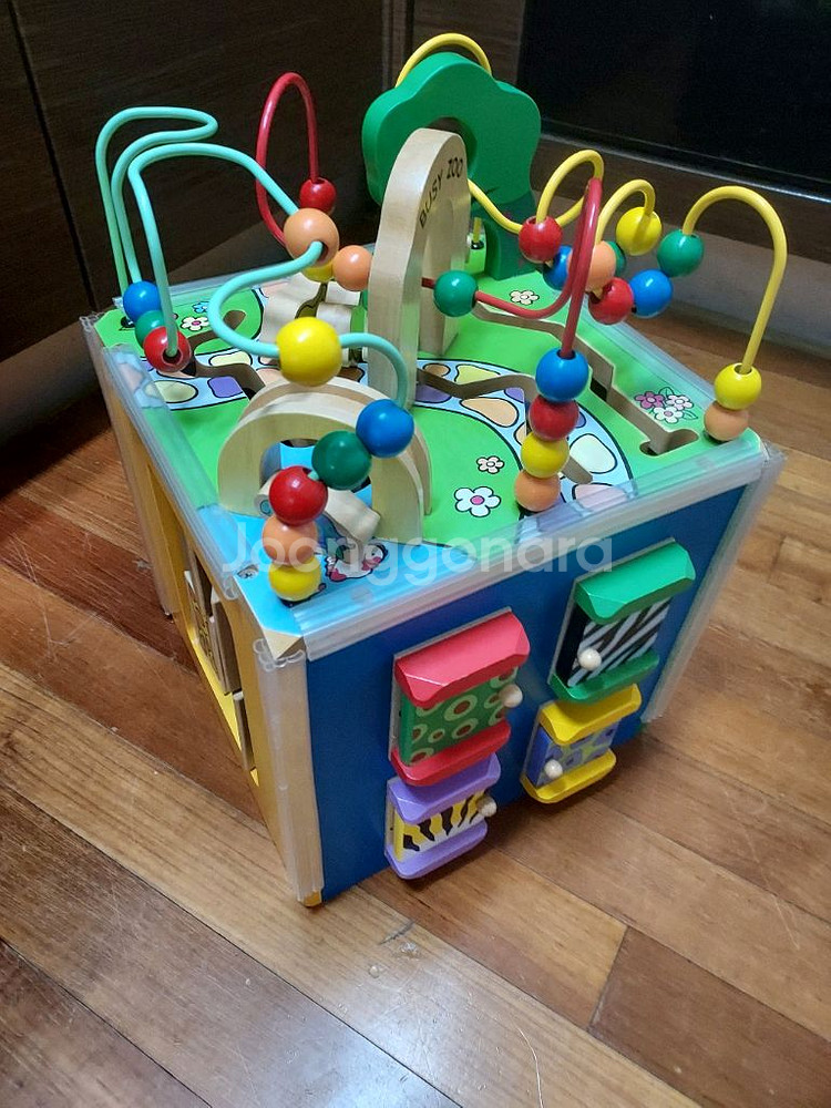 비지쥬 롤러코스터 원목교구--4