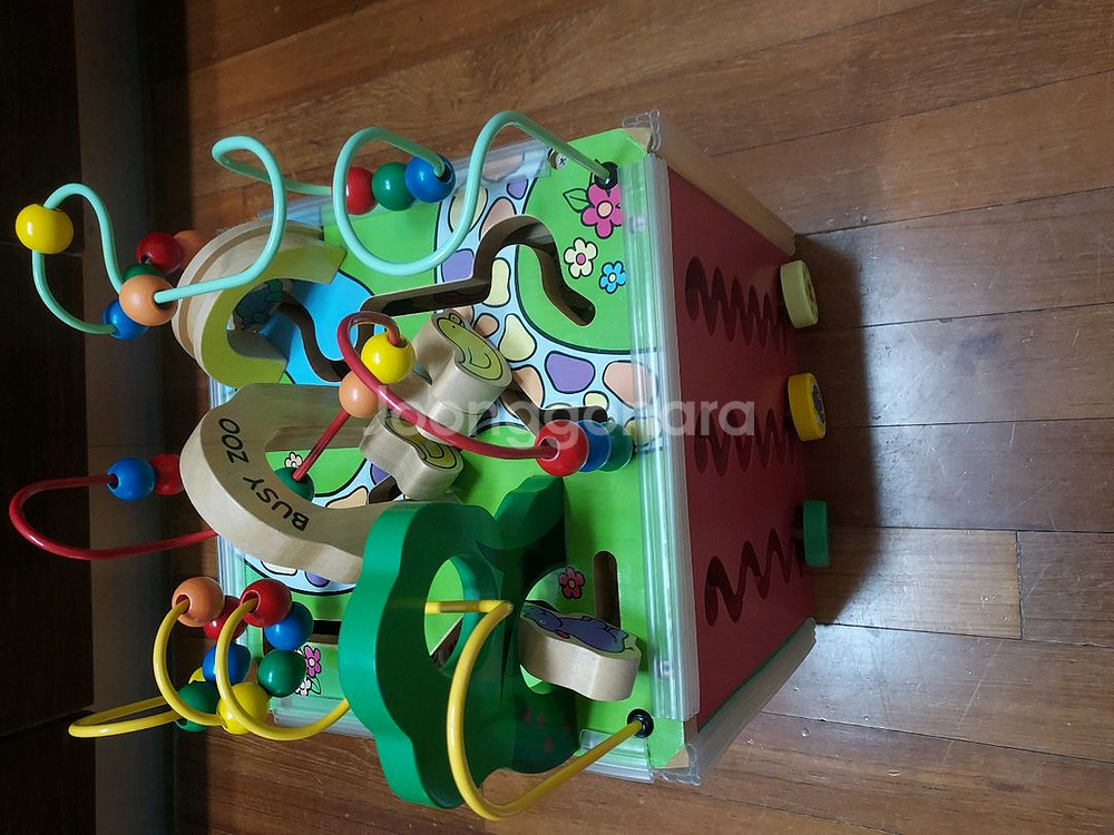 비지쥬 롤러코스터 원목교구--2