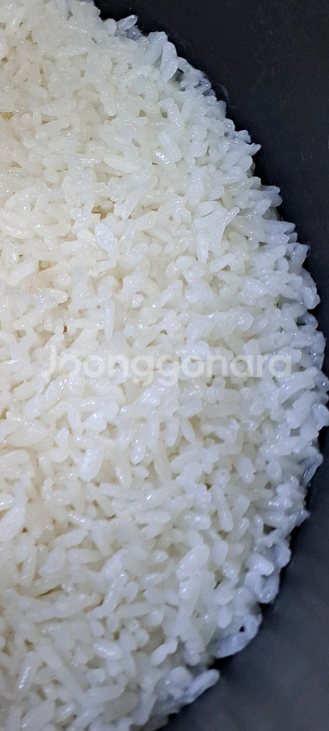 쿠쿠10인용 압력밥솥--1