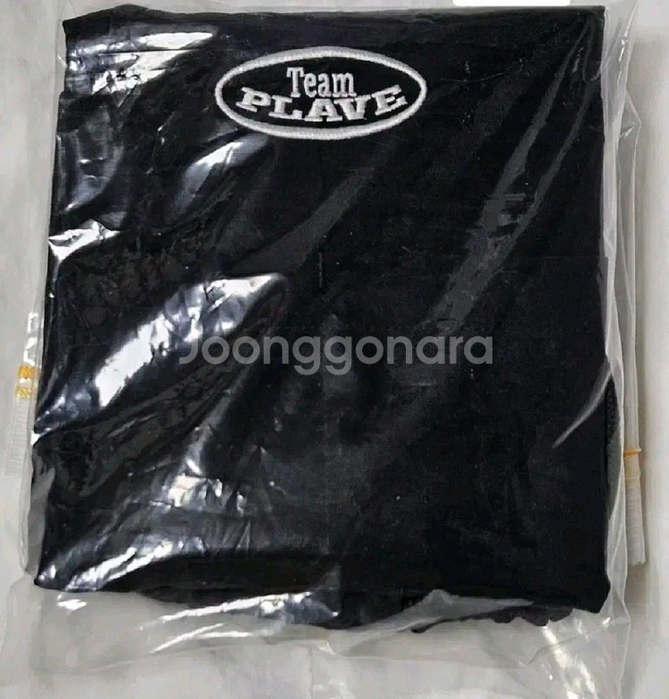 미사용) 플레이브 2024 시그 시즌그리팅 짐색--0