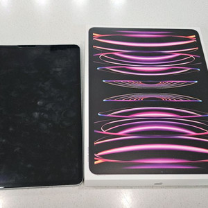 아이패드프로 12.9 6세대 wifi 256기가