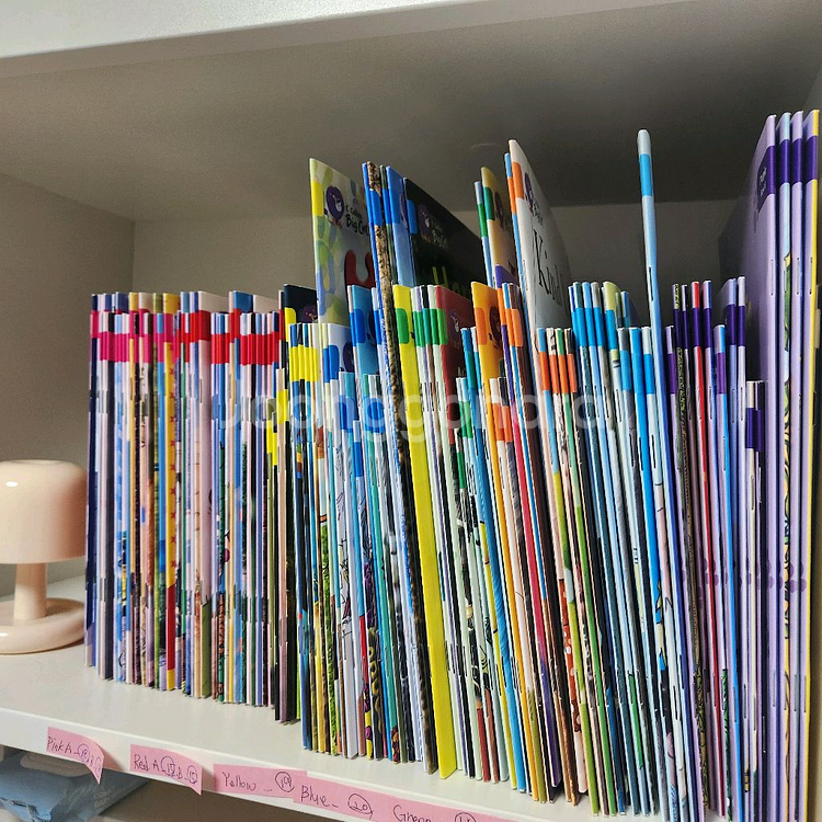 콜린스 빅캣 영어원서 1단계~8단계 (총156권)--0