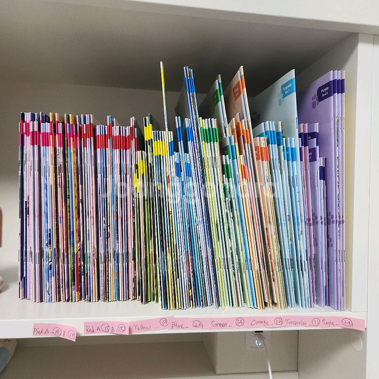 콜린스 빅캣 영어원서 1단계~8단계 (총156권)--1