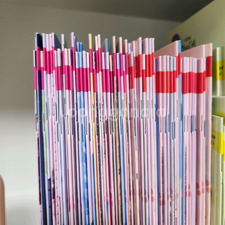 콜린스 빅캣 영어원서 1단계~8단계 (총156권)--2