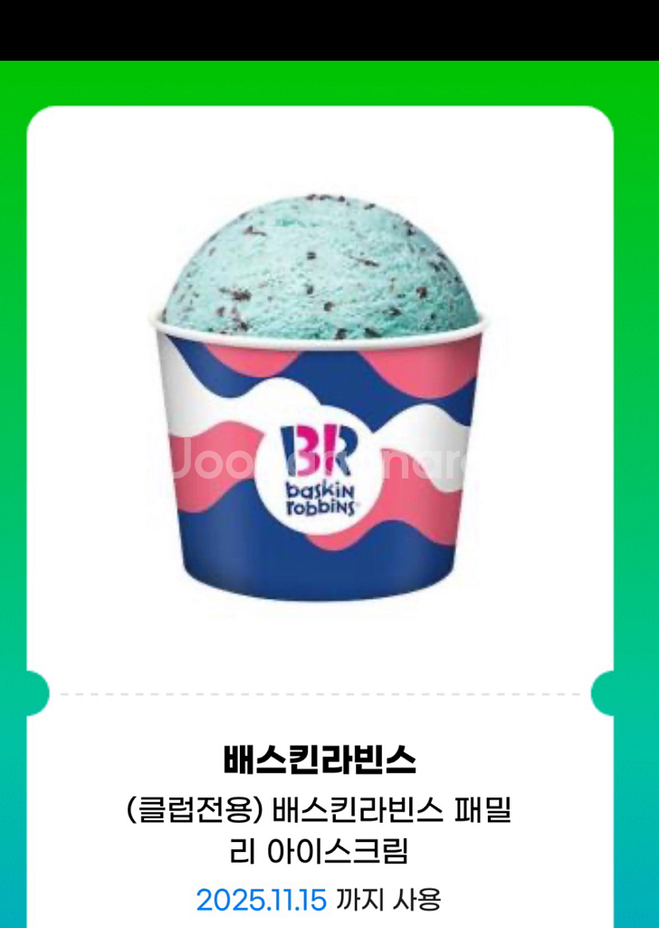 배스킨라빈스 패밀리 아이스크림--0