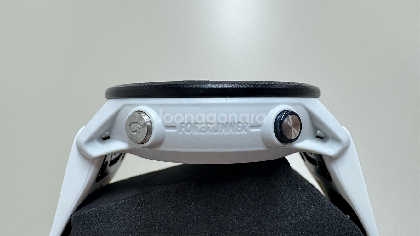 가민 포러너 955 논솔라--4