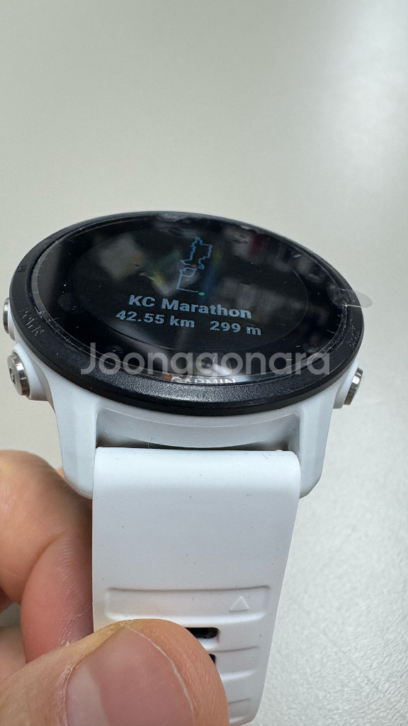 가민 포러너 955 논솔라--6