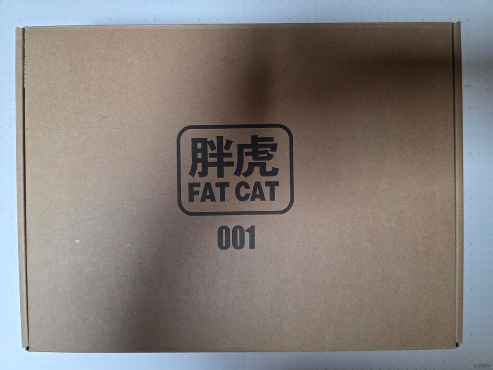 팻캣 1/100 퍼스트건담--1