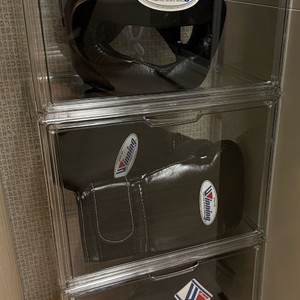 위닝 복싱 헤드기어