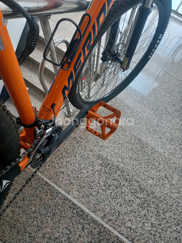 메리다 빅나인 300. XL--7