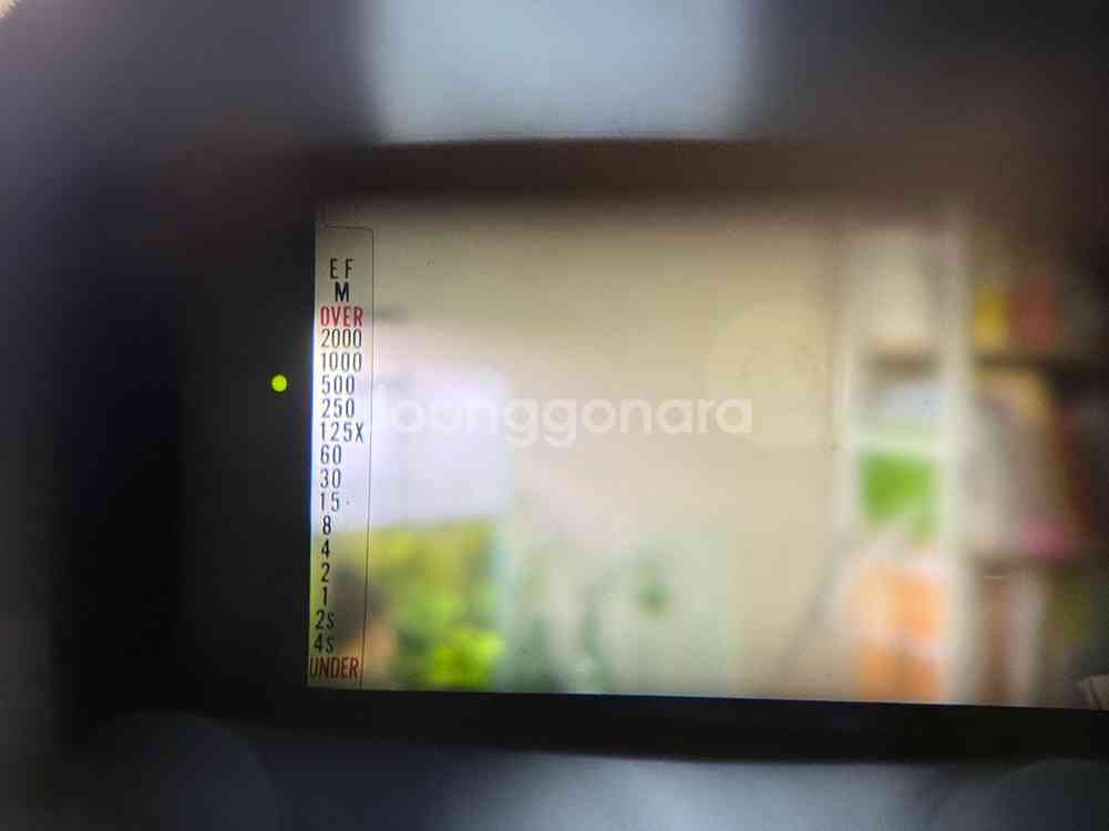 펜탁스 ME Super 블랙 + SMC-M 50mm f1.4--2