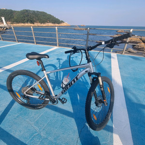 자이언트 타론0 L