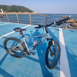 자이언트 타론0 L