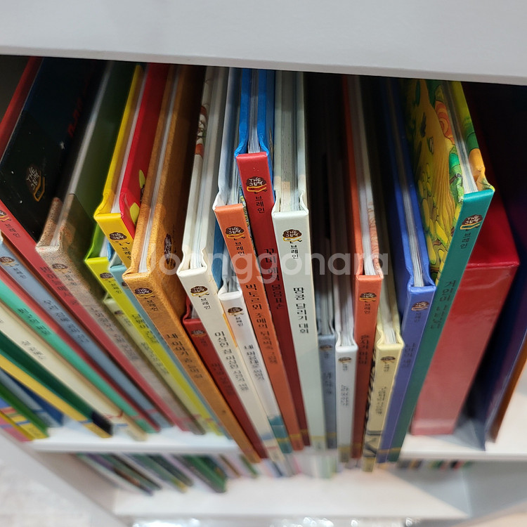 더그림책 브레인--2