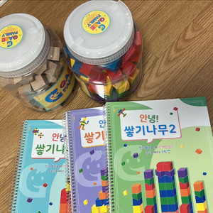 쌍기나무 블록 교구 풀세트