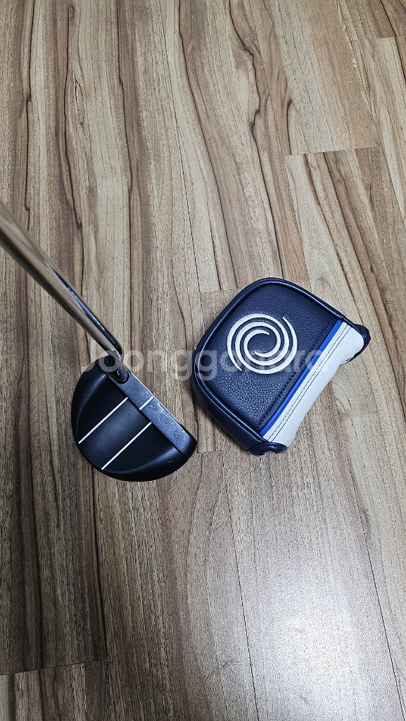 오딧세이 Ai-ONE Rossie 퍼터 샤프트 33인치--5