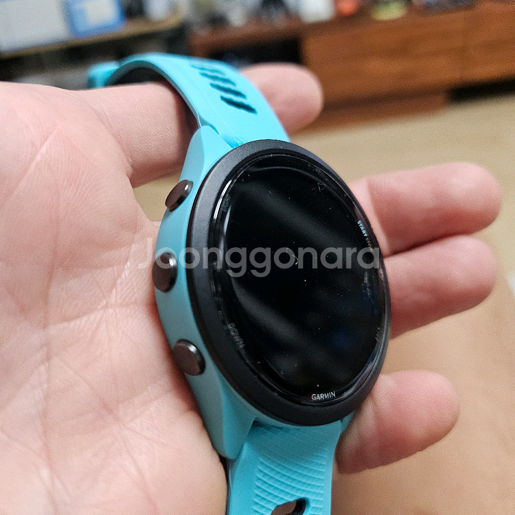 가민 포러너 265--2