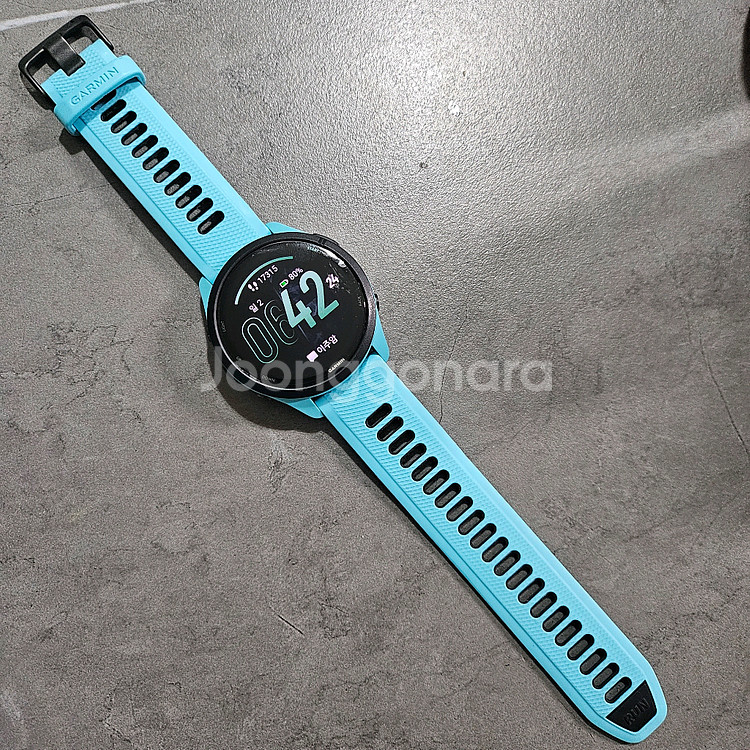 가민 포러너 265--1