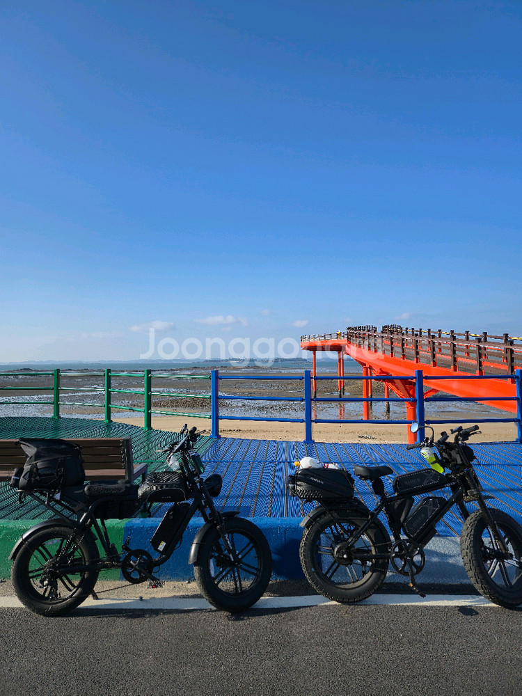 엑스라이더x50 전기자전거--1