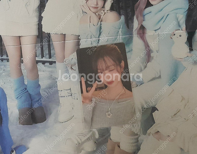 무료배송)아이브 엠파시 앨범 러브드버전 원영 버전 포카 풀구성--1