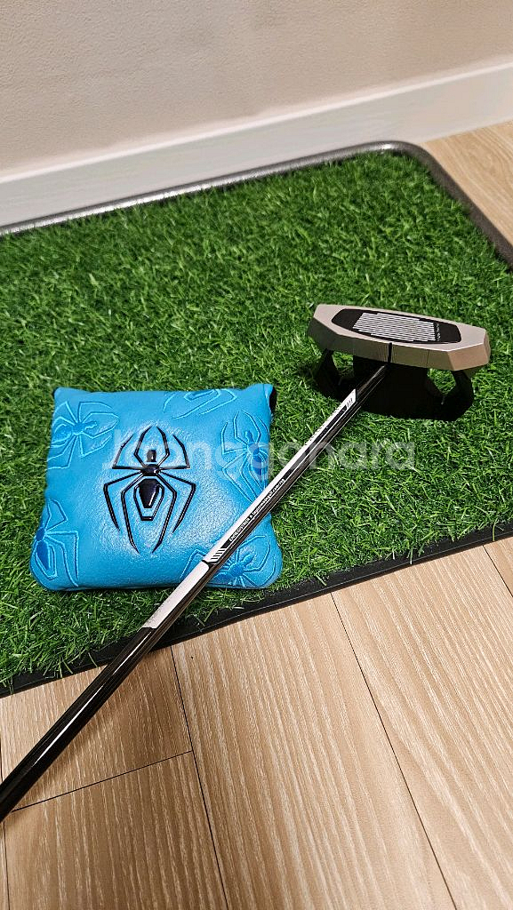 스파이더 골프 퍼팅 연습기 세트--2