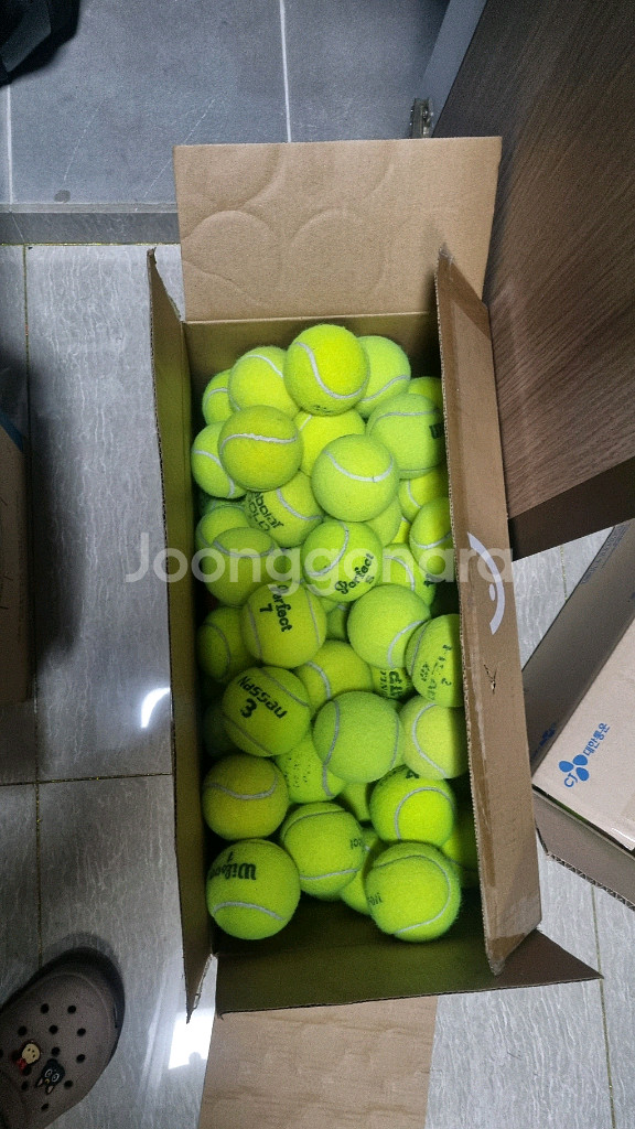 테니스공 연습구 30개(택포 1.5만)--0