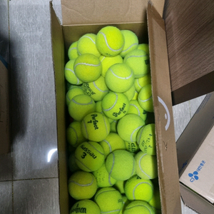 테니스공 연습구 30개(택포 1.5만)