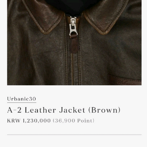 urbanic30 얼바닉30 A-2 레더자켓 브라운 이미지