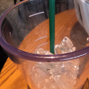 스타벅스 프리퀀시 일반 1장 팝니다