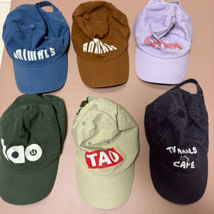 타오 캡모자 6개 일괄