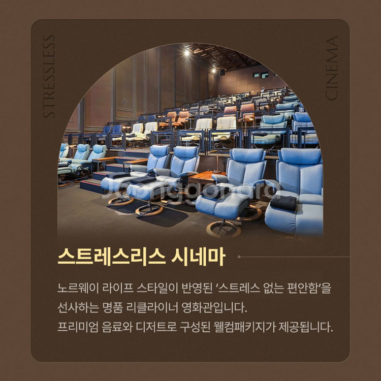 CGV 씨네드쉐프(스트레스리스/템퍼 시네마) 주중(월-목) 2인 반값 특가--1