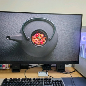 32인치 QHD 게이밍 모니터 165 주사율 Nano IPS