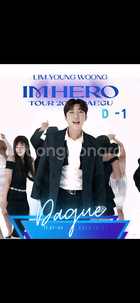 임영웅 콘서트 티켓 대구콘서트 막콘 1장--0