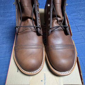 레드윙 아이언레인저 8111 앰버하니스 255