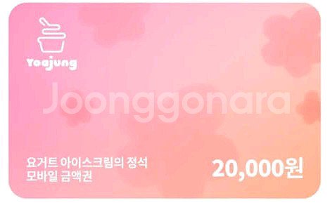 요아정 모바일 금액권 2만원 요거트 아이스크림의 정석--0
