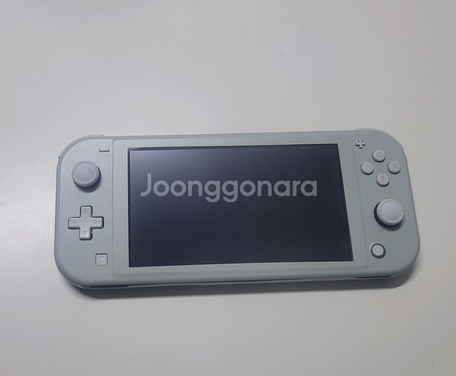 닌텐도 스위치 라이트 그레이(스킨 붙여서 민트색)--0
