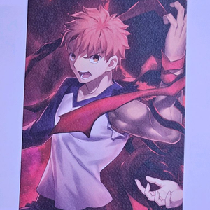 페이트 스테이나이트 헤븐즈필 3장 1주차 특전 시로 이미지