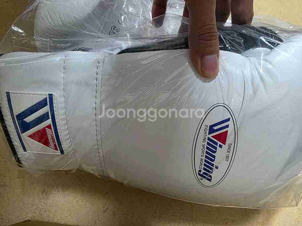 커스텀 위닝 복싱글러브 16온즈 레이스업--4