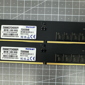 하이닉스언락칩 PATRIOT DDR5 16GB 5600MHz X 2개(32GB) / 하이닉스모듈 메모리RAM